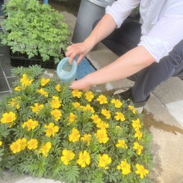 〜寄せ植え教室をしました〜|「グリーンライフカナイ」　（石川県羽咋市の花屋）のブログ